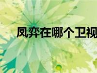 凤弈在哪个卫视播出 网络独播平台解析
