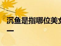 学口琴的基本方法