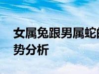 女属兔跟男属蛇的合不合 属相婚配详解与运势分析