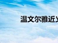 温文尔雅近义词 常见同义词汇总