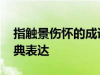 指触景伤怀的成语 触景生情与感伤情怀的经典表达