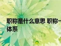 职称是什么意思 职称一般有哪些分级 职称等级详解与分类体系