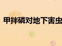 甲拌磷对地下害虫的效果 高效防治地下害虫