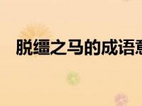 脱缰之马的成语意思 含义解析与用法示例