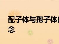 配子体与孢子体的定义 植物世代交替核心概念