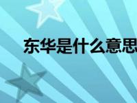 东华是什么意思 解读东华的含义与起源