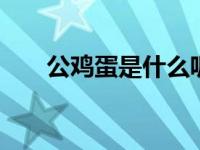 公鸡蛋是什么呢 公鸡蛋的真相与来源