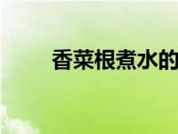 香菜根煮水的功效 天然排毒小妙招