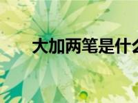 大加两笔是什么字 常见汉字谜题解析
