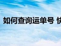 如何查询运单号 快速掌握物流信息查询方法