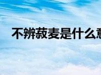 不辨菽麦是什么意思 成语典故与含义解析