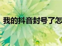 我的抖音封号了怎么办 快速解封与申诉指南
