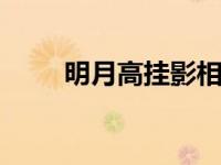 明月高挂影相随是什么生肖 谜底兔