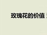 玫瑰花的价值 浪漫与经济的双重馈赠