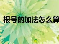 根号的加法怎么算 掌握根号相加的运算规则