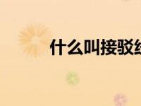 什么叫接驳线 短途交通衔接专线