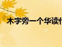 木字旁一个华读什么字 桦字的读音与含义
