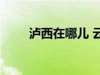 泸西在哪儿 云南红河州的地理位置