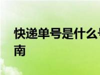快递单号是什么号 快递单号的识别与查询指南