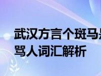武汉方言个斑马是什么意思 武汉话中的独特骂人词汇解析