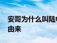 青菜有哪些品种