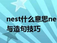 nest什么意思nest怎么造句 掌握nest的用法与造句技巧