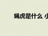 蝇虎是什么 小型益虫擅长跳跃捕食