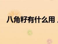 八角籽有什么用 八角籽的常见用途与功效