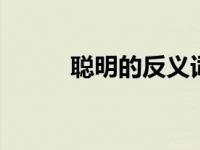 聪明的反义词 探索智慧的对立面