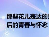 那些花儿表达的是什么 解读朴树经典歌曲背后的青春与怀念