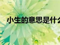 小生的意思是什么 传统戏曲中的角色称谓