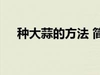 种大蒜的方法 简单易学的家庭种植技巧