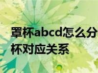罩杯abcd怎么分大小 轻松掌握胸围尺寸与罩杯对应关系
