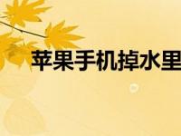 苹果手机掉水里怎么处理 紧急处理步骤