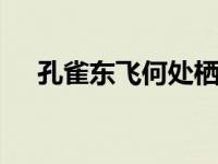 孔雀东飞何处栖下一句 五里一徘徊详解