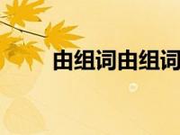由组词由组词有哪些 由字组词大全