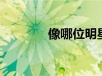 像哪位明星 测测你的明星脸