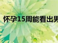 怀孕15周能看出男女吗科学解读与常见误区