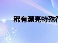 稀有漂亮特殊符号 精选独特符号大全