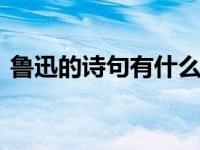 鲁迅的诗句有什么 经典诗句与文学价值解析