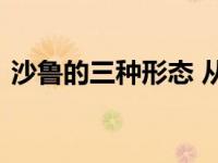 沙鲁的三种形态 从初生到完全体的进化之路