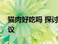 猫肉好吃吗 探讨食用猫肉的安全性与伦理争议
