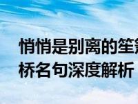 悄悄是别离的笙箫是什么意思 徐志摩再别康桥名句深度解析