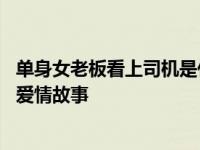单身女老板看上司机是什么电视剧 揭秘女总裁与司机的甜蜜爱情故事