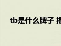 tb是什么牌子 揭秘tb品牌的起源与定位