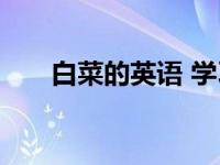 白菜的英语 学习白菜英文单词及用法