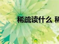 稀疏读什么 稀疏性概念与学习指南