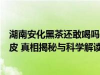 湖南安化黑茶还敢喝吗喝了黑茶九个全身开始长红点发黑脱皮 真相揭秘与科学解读