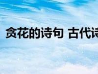 贪花的诗句 古代诗词中贪花赏花的经典名句