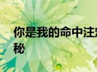 你是我的命中注定什么时候播 播出时间全揭秘